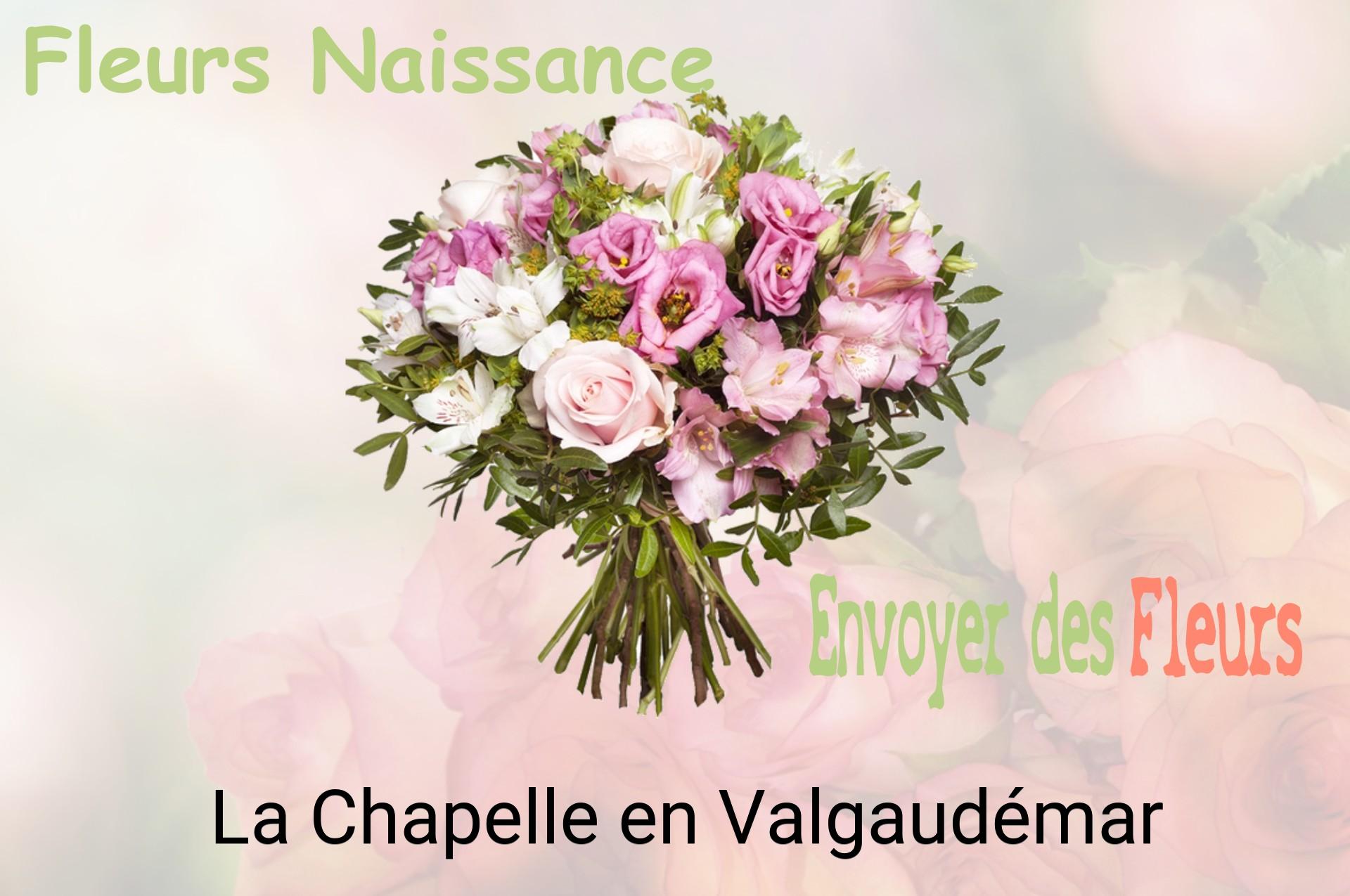 Bouquet de fleurs de naissance livré à La Chapelle-en-Valgaudémar